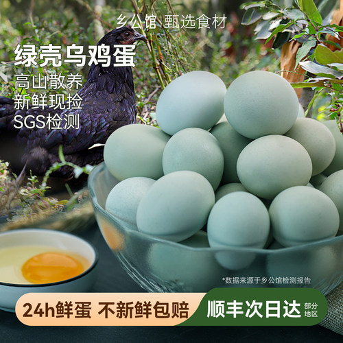乌鸡蛋30枚新鲜现捡顺丰包邮