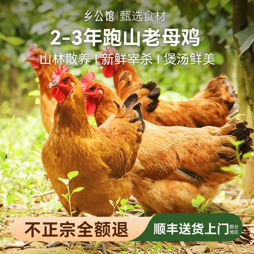 土鸡农家散养新鲜宰杀