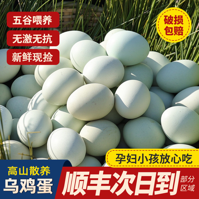 绿壳土鸡蛋新鲜农家竹林谷物鸡蛋10枚批发整箱正宗散养生鲜鸡蛋
