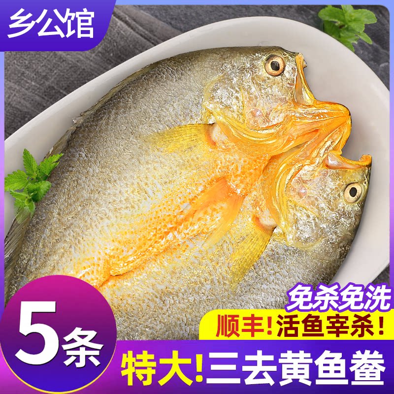 黄鱼鲞新鲜开背三去大黄鱼图片