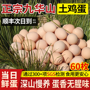 正宗九华山土鸡蛋新鲜农家散养无抗农村真草鸡蛋柴鸡蛋笨鸡蛋生鲜