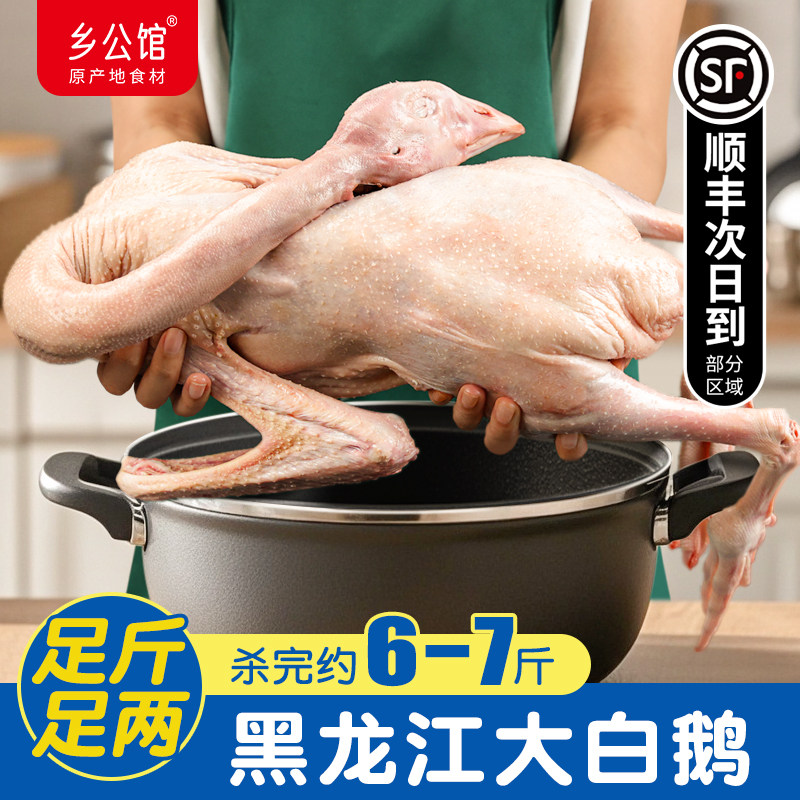 正宗农家散养大鹅非老鹅全仔鹅新鲜宰杀现杀草鹅土鹅东北大鹅整只