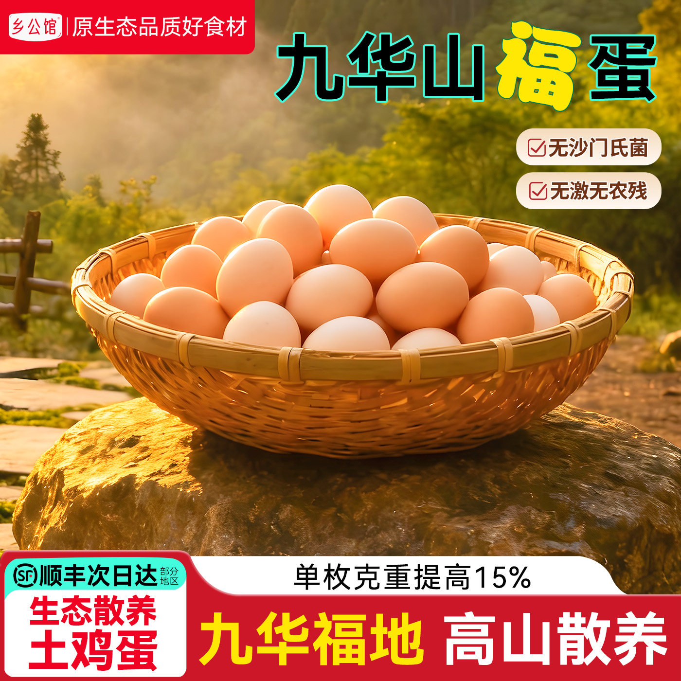 乡公馆九华山土鸡蛋新鲜正宗农家散养笨鸡蛋草鸡蛋农村无抗柴鸡蛋,水产肉类/新鲜蔬果/熟食,鸡蛋,淘宝优惠券,粉丝福利购,淘宝优惠卷