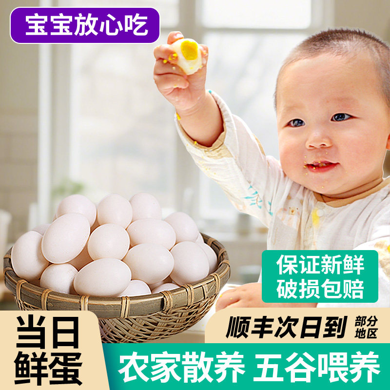 鸽子蛋新鲜30枚鸽蛋正宗农家散养土鸽蛋信鸽蛋宝宝辅食20枚白鸽蛋,水产肉类/新鲜蔬果/熟食,鸽蛋,淘宝优惠券,粉丝福利购,淘宝优惠卷
