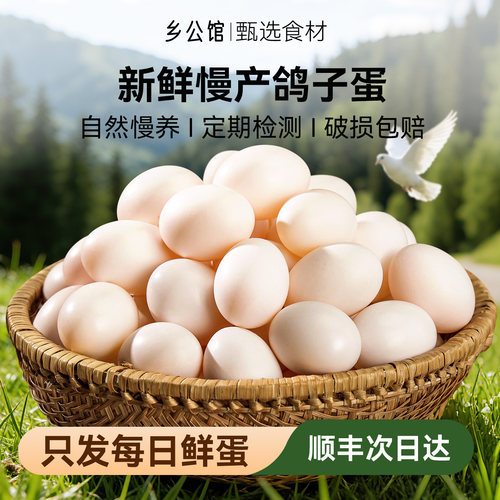 新鲜鸽子蛋五谷喂养顺丰次日达