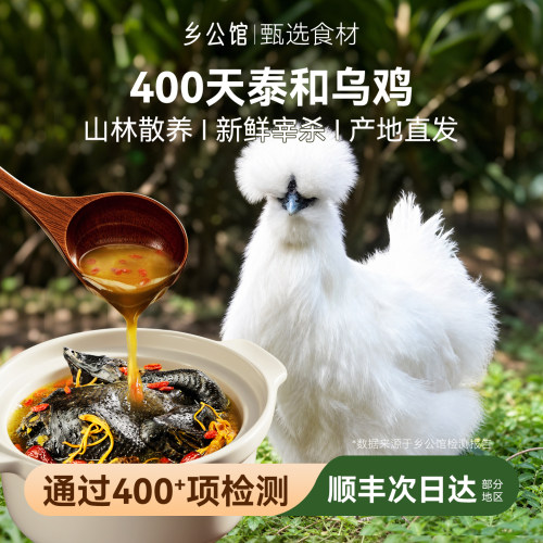 正宗江西泰和原种乌鸡新鲜现杀