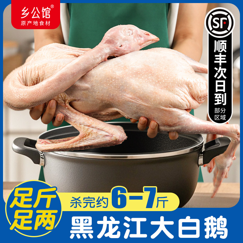 正宗农家散养大鹅非老鹅全仔鹅新鲜宰杀现杀草鹅土鹅东北大鹅整只