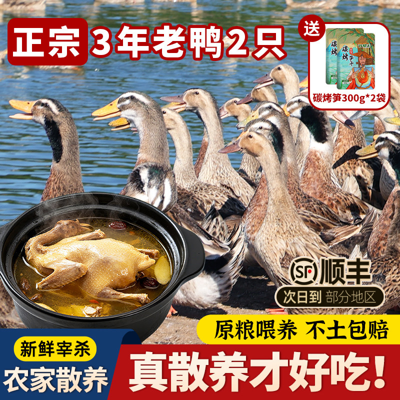 乡公馆鸭子正宗麻鸭皖南农村现杀老鸭整只新鲜土鸭水鸭肉农家散养
