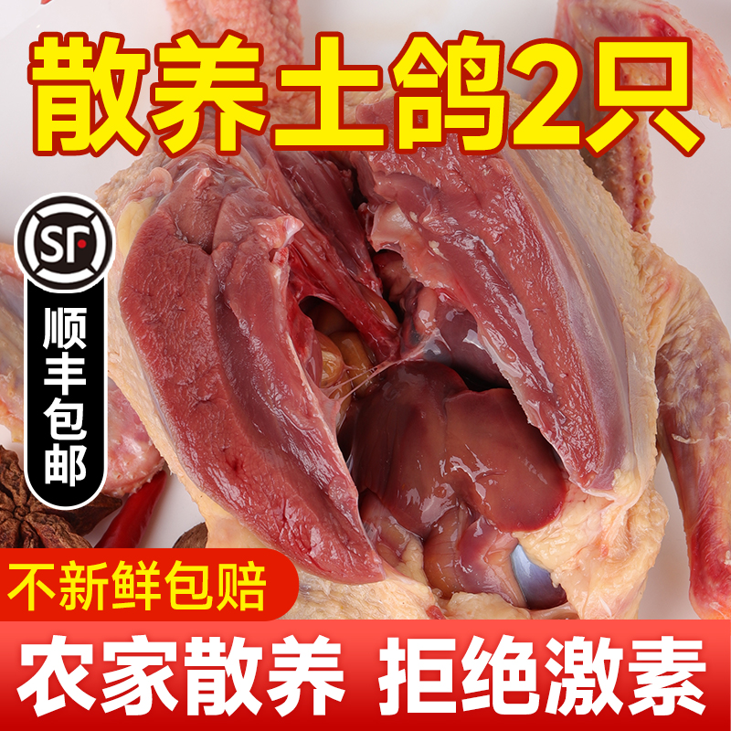 鸽子新鲜现杀炖汤农家散养2只非活老鸽子肉活物土鸽子肉乳鸽生鲜-封面