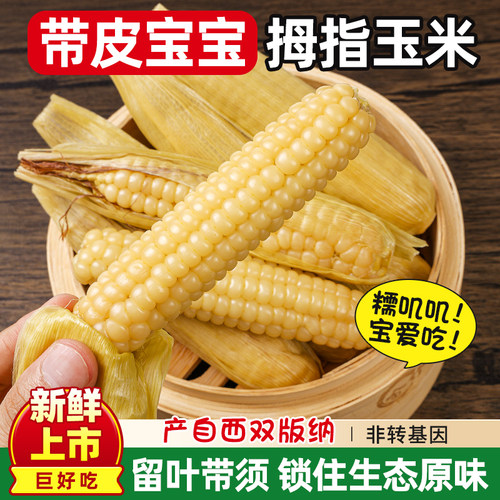 非转基因带皮拇指小玉米宝宝爱吃