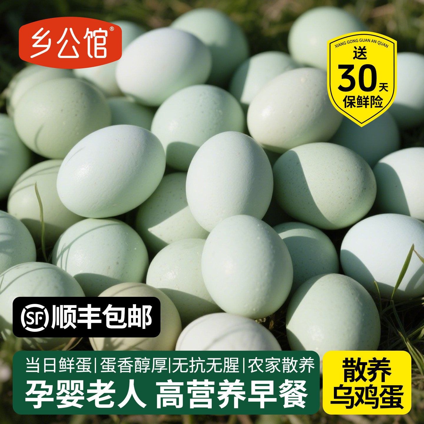 乌鸡蛋新鲜30枚正宗农家散养草大农村官方旗舰店乌骨绿壳土鸡蛋
