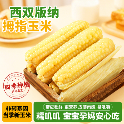 带皮拇指玉米新鲜甜糯宝宝辅食