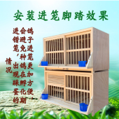 专拍链接 改制防水板粪板 木质鸽子笼巢箱配对笼 定制进笼脚踏