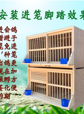 木质鸽子笼巢箱配对笼 定制进笼脚踏/改制防水板粪板 专拍链接