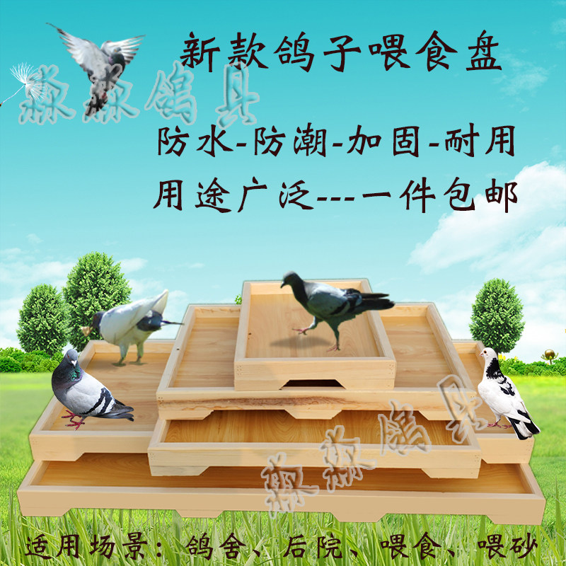 鸽子用品用具鸽舍赛鸽信鸽子食盘食槽自动漏食喂食器盘松实木食盒