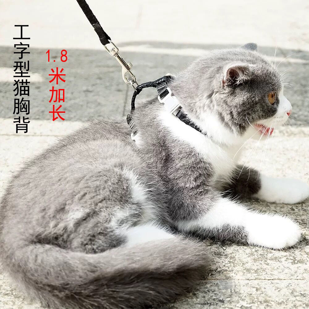 遛猫绳猫咪牵引绳猫链子