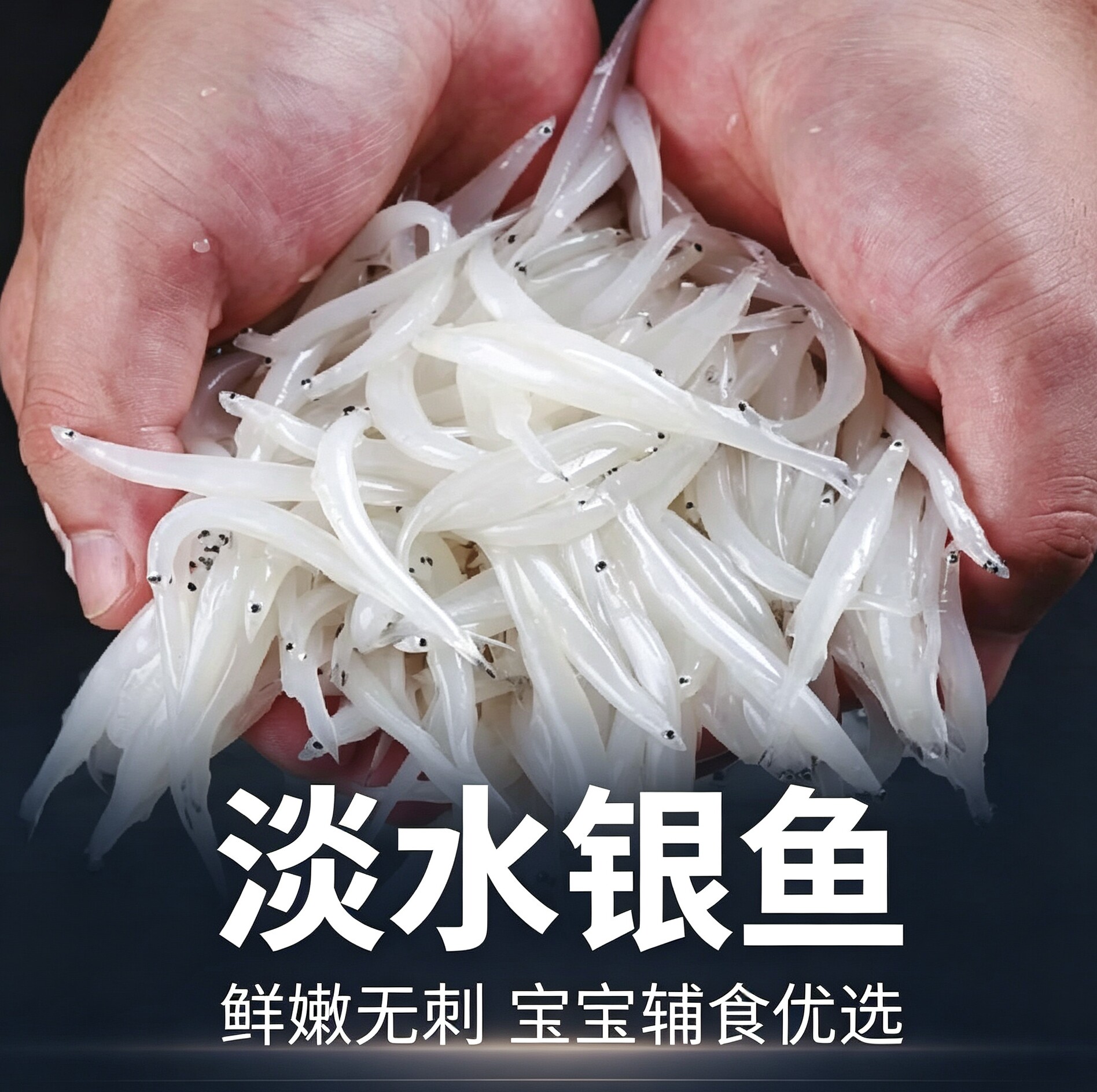 钱码岛整条洪泽湖捕捞新鲜大银鱼