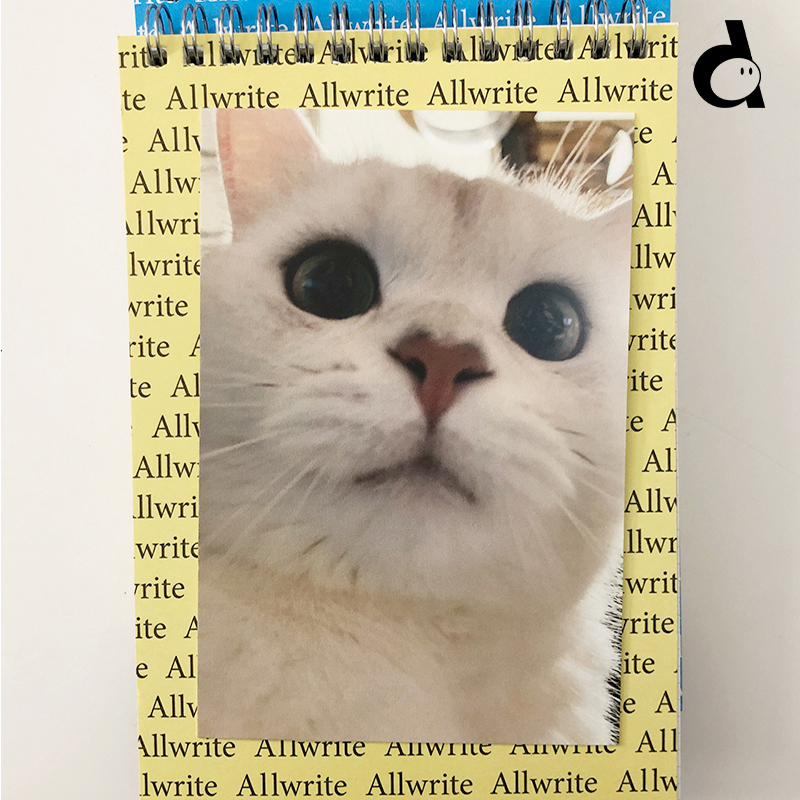 小猫明信片duye度也涵曦