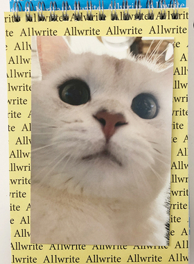 duye度也 韩国allwrite明信片小猫合集maki治愈书写手账墙面装饰