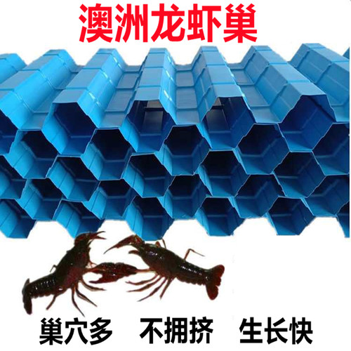 澳洲龙虾屋水蛭养殖板螃蟹巢虾窝