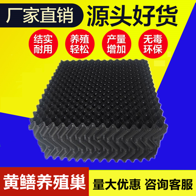 巢鳝水蛭泥鳅洞穴屋窝