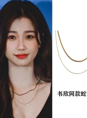 双层钛钢蛇骨项链女2025新款爆款叠戴锁骨链轻奢高级感简约颈链