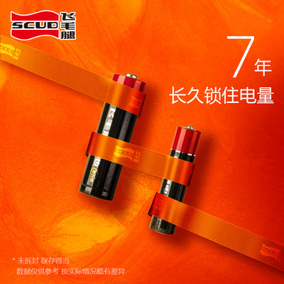 飞毛腿电池 5号12节碱性电池五号玩具电池遥控器电池7号12节鼠标