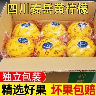 安岳黄柠檬水果当季新鲜水果整箱批发薄皮一级柠檬果子多规格泡水