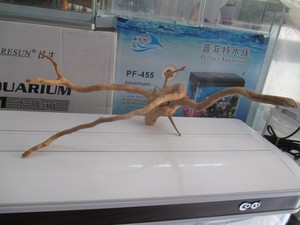 草缸造景流木 天然杜鹃根 907号 天然杜鹃根 大号精品精品杜鹃根