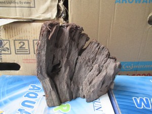 天然/沉水木/精品M181号 5指型 纹理好多分叉 ADA 沉木NEW柚木
