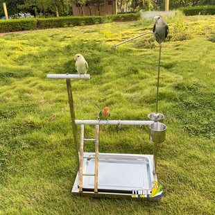 鹦鹉桌面站架 伯劳玄凤虎皮牡丹不锈钢落地架 手养训练鸟架子