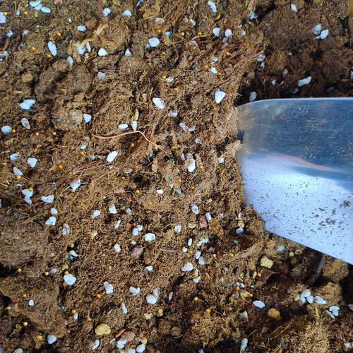 营养土通用型玫瑰月季竹芋观叶