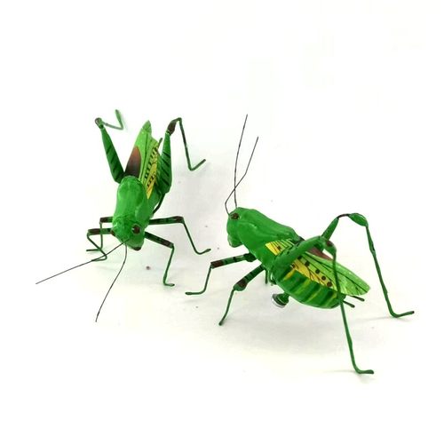 仿真蝈蝈3D立体昆虫磁吸冰箱贴