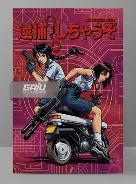 逮捕令装饰画You're Under Arrest姐妹花辻本夏实小早川美幸挂画