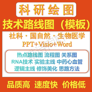 流程图技术路线图代画美化国自然生物医学路线图课题流程图框架图