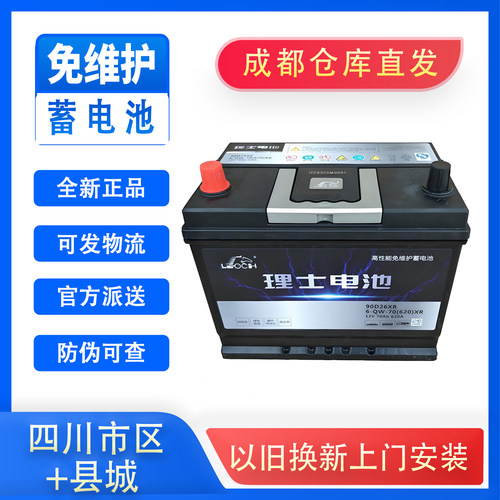 成都理士蓄电池全新正品质保两年