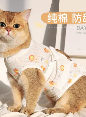 猫咪绝育服母猫手术服衣服透气纯棉服断奶服公猫防舔术后宠物猫猫