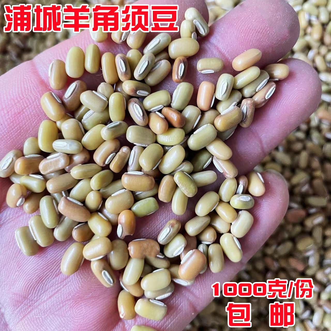 福建特产羊角豆竹豆饭豆白赤豆