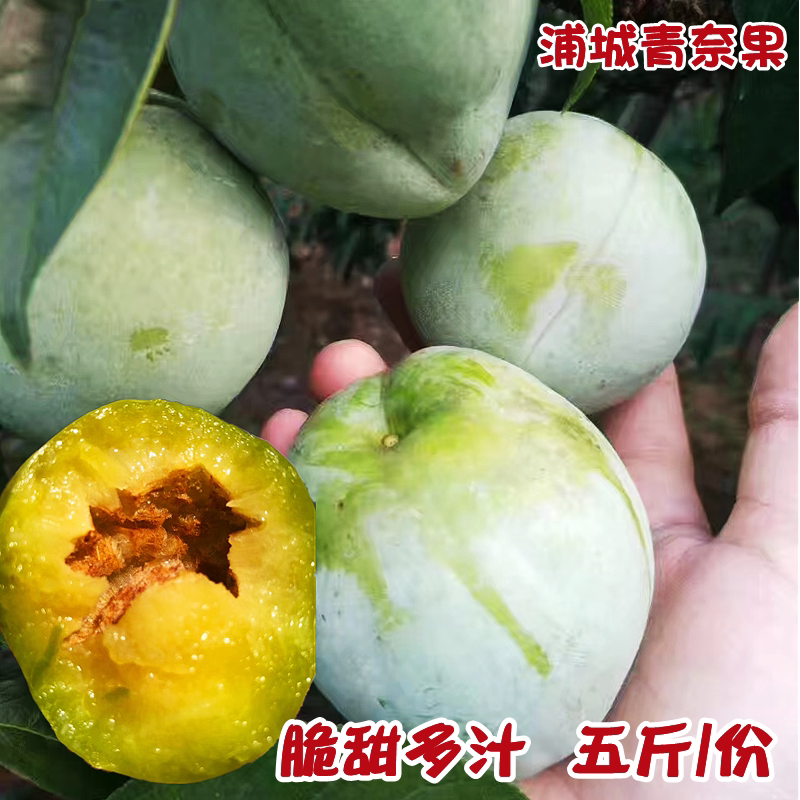 浦城特产青奈果新鲜脆甜福建油奈