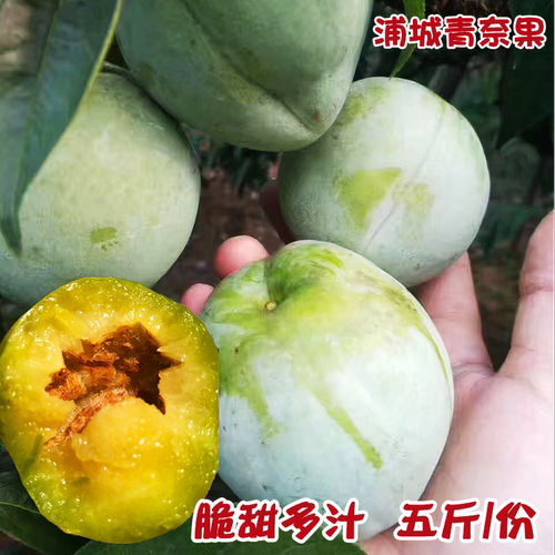 浦城特产青奈果新鲜脆甜福建油奈