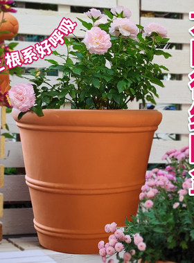 特大口径红陶花盆欧式