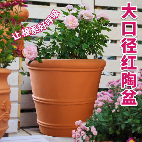 特大口径红陶花盆欧式