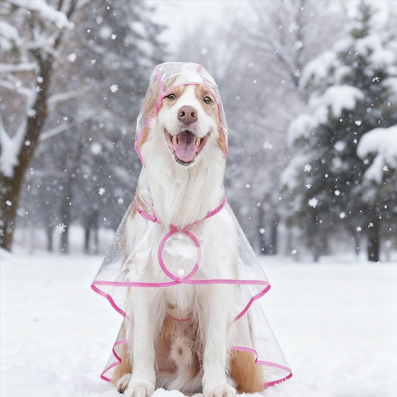 雨衣小狗大型犬狗狗雨披斗篷式雨衣透明宠物衣服下雪外出成衣金毛