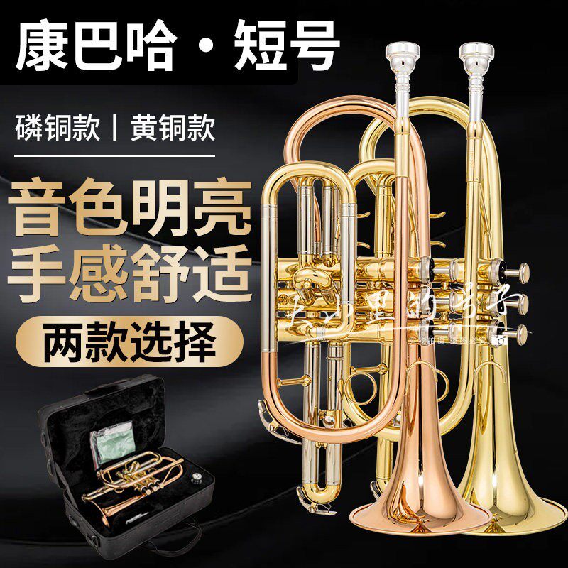 康巴哈 短号乐器 降B调 黄铜小号