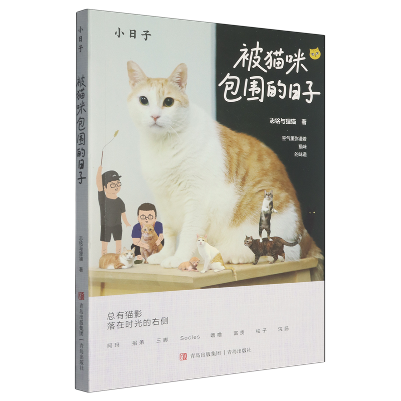 【新华正版】被猫咪包围的日子/小日子 志铭与狸猫 青岛