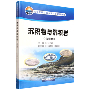 沉积物与沉积岩:富媒体