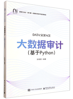 【新华正版】大数据审计(基于Python)/新型工业化新计算数据科学技术与应用系列 张高煜 电子工业