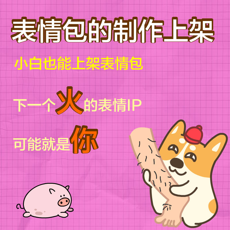 Flash/An零基础入门表情包制作教程微信表情包发布创意表情