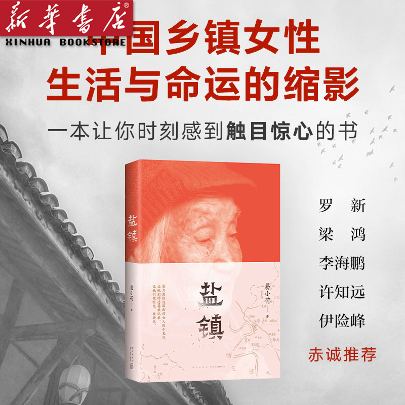盐镇 易小荷著 深度书写中国乡镇女性的生活与命运的佳作 新经典 【新华书店 正版图书】