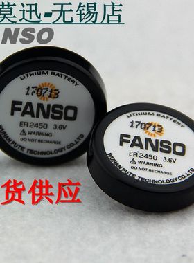 FANSO 孚安特扣式电池ER2450 3.6V 胎压电池税控机电池TLH-2450